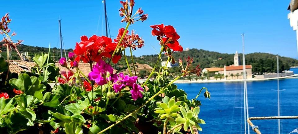 Bed & Breakfast Dionis Vis Dış mekan fotoğraf