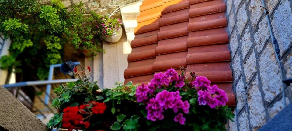 Bed & Breakfast Dionis Vis Dış mekan fotoğraf
