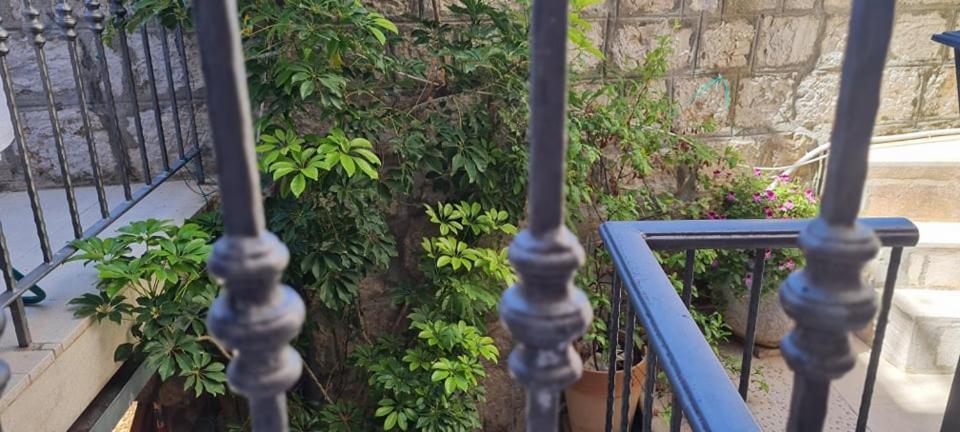 Bed & Breakfast Dionis Vis Dış mekan fotoğraf